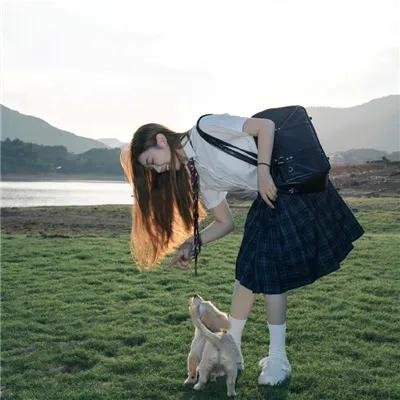 白头盔