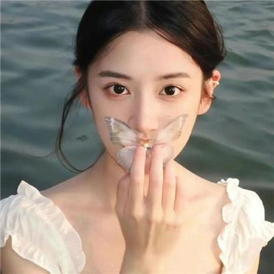 综艺大集合